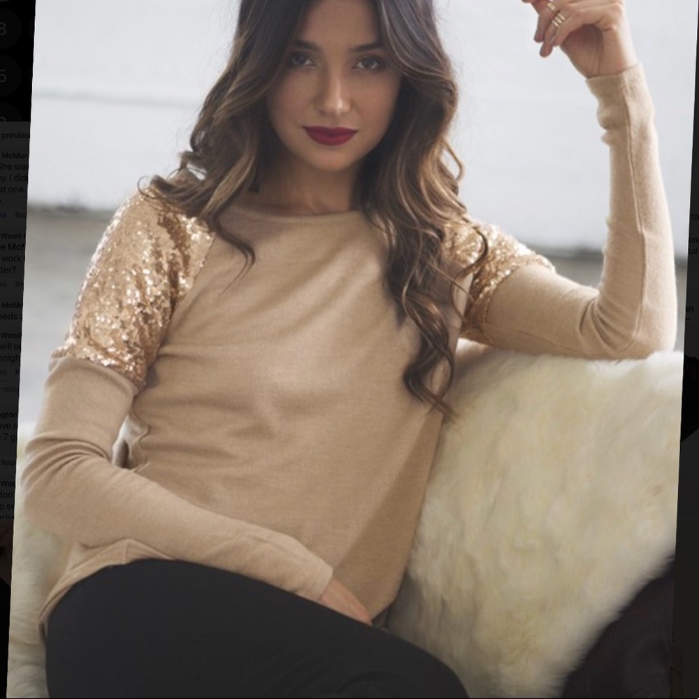 💗HOST PICK💗 Sequin sleeve top